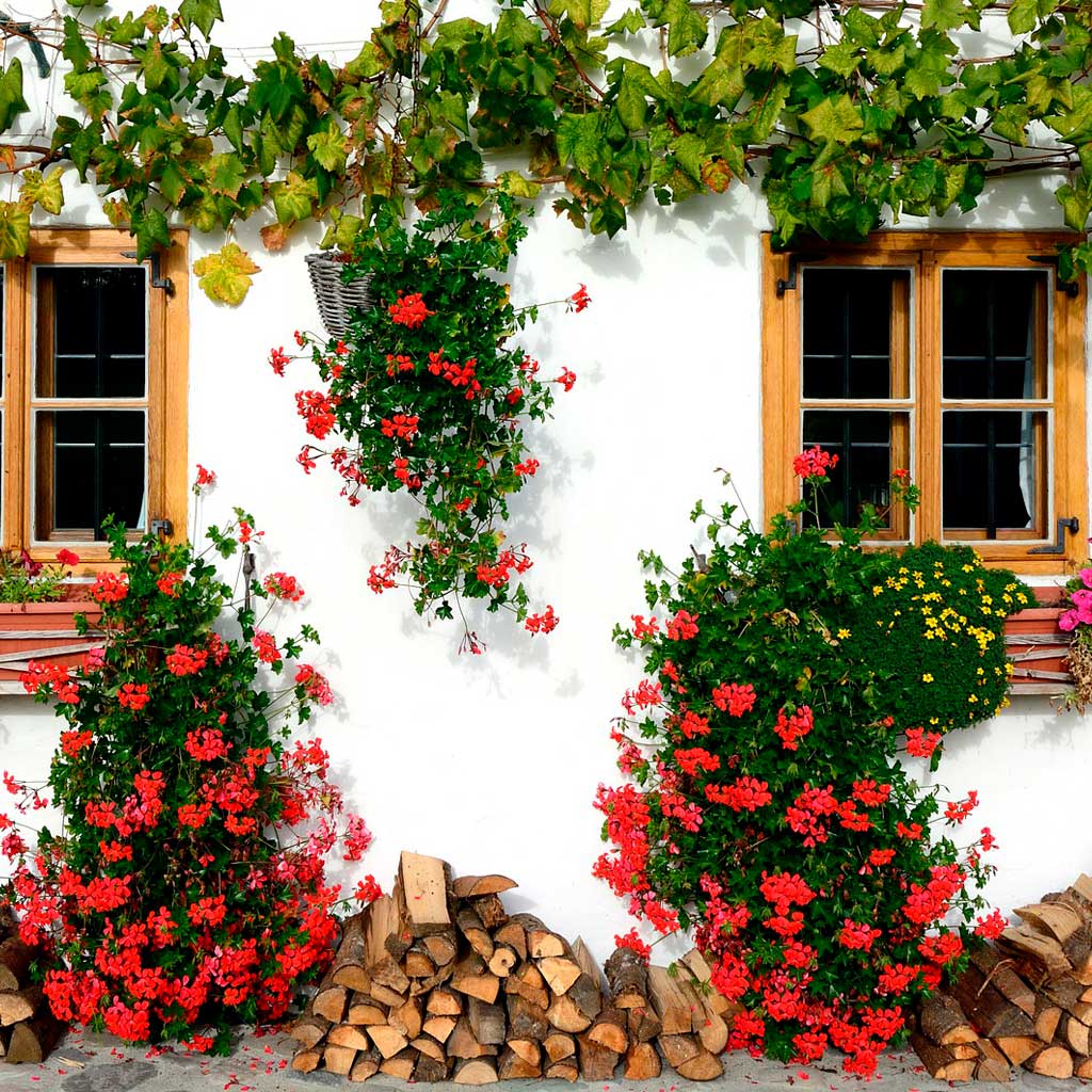 decoracion para dummies de jardin