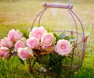 flores jardin decoracion diez