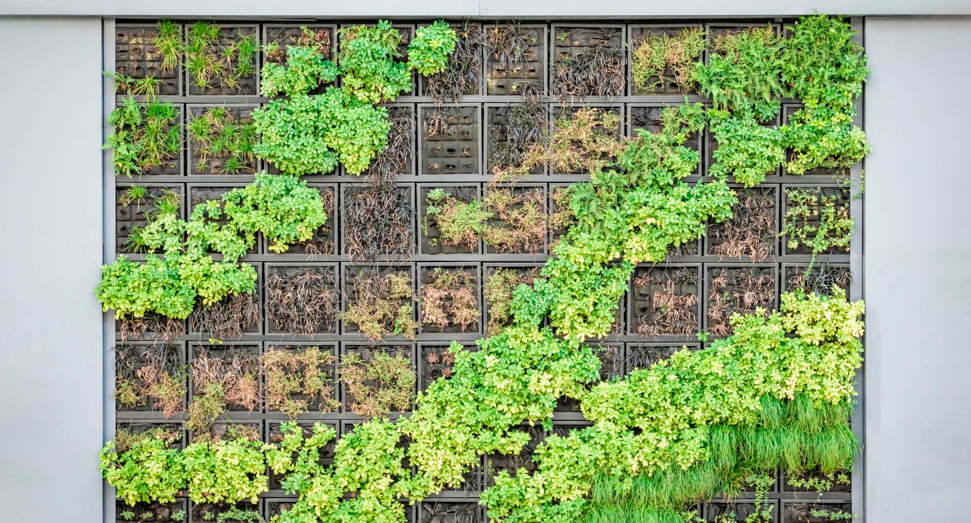 jardin vertical