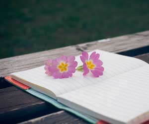 jardin y creatividad decoracion diez